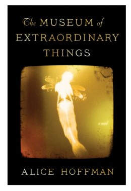 book the museum of extraordinary things book the museum of extraordinary things
