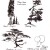 Tree shapes are perfect for scribble. Tree shapes are perfect for scribble.