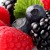 Berries Berries