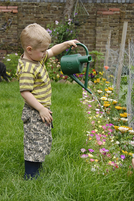 Small boy watering garden