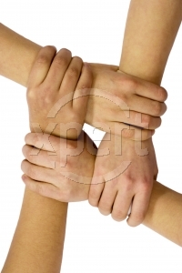A Link Exchange?
