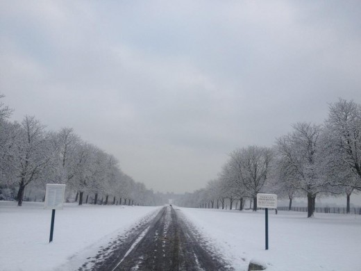 The long walk in Winter