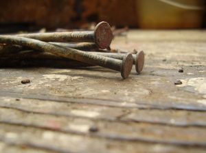 Rusty nails from the old flooring