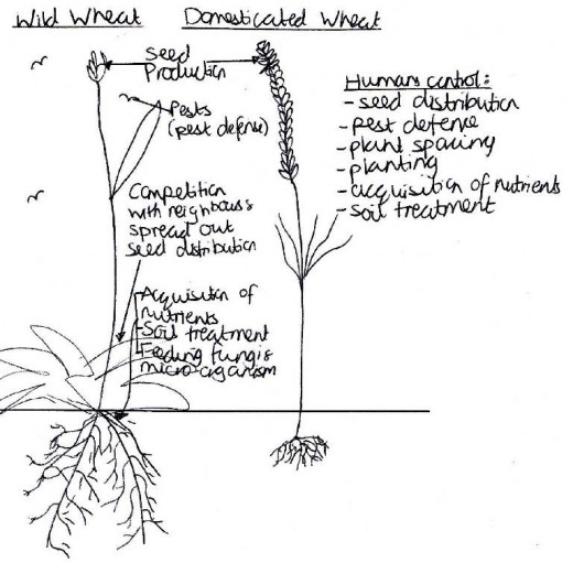 Gunther, F. (2000), ‘Making Western Culture More Sustainable’, Energy & Environment, Available at: http://www.feasta.org/documents/feastareview/guenther.htm (Accessed: 16/12/13)