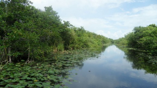 Everglades: Miami, FL