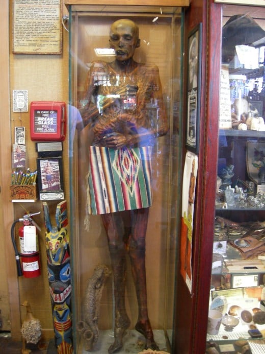 Mummy on Display at the Curiosity Shop: Seattle, WA