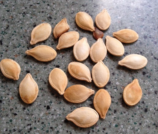 Scatter them around the house if you must, but a waste in my opinion, pumpkin seeds are delicious toasted!