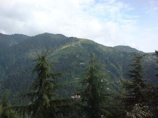 Dalhousie, Himachal Pradesh. Trees in foreground are Cedrus deodara.