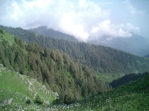 The nature at Dalhousie