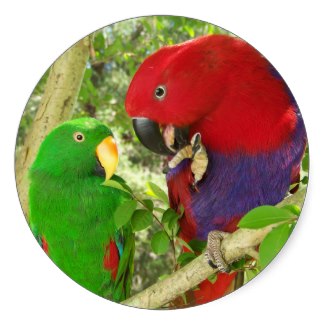Pretty Parrots Round Sticker