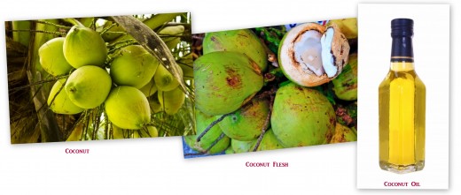 Use of coconut to produce pure coconut oil