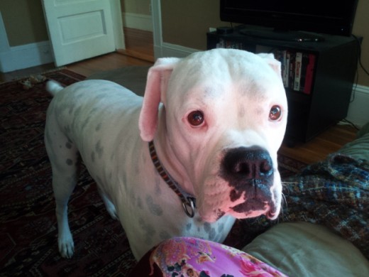 Personal Photo