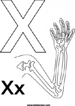 Adaptable image with printable x rays Clean image with printable x rays