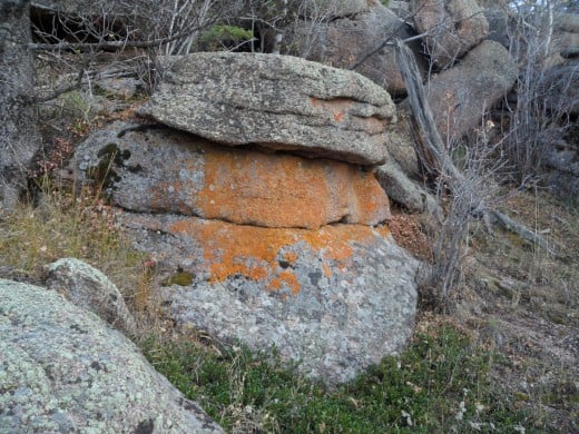 Lichen-covered rocks