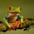In the photo above you can see both the distinctive red eyes and orange feet of the red eyed tree frog.