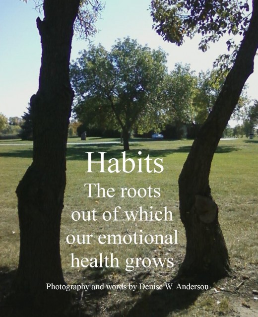 Our habits from the basis of our ability to recognize and determine our emotional health.