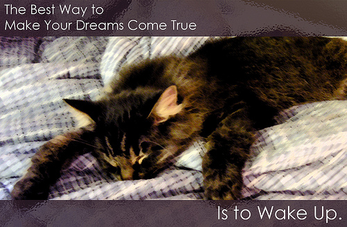 The best way to make your dreams come true is to wake up!