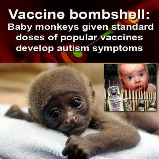 CDC and the AAP officially previously recommended vaccine's were given to infant monkey's and they developed autism like symptoms