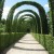 The archway walk at Chamerolles