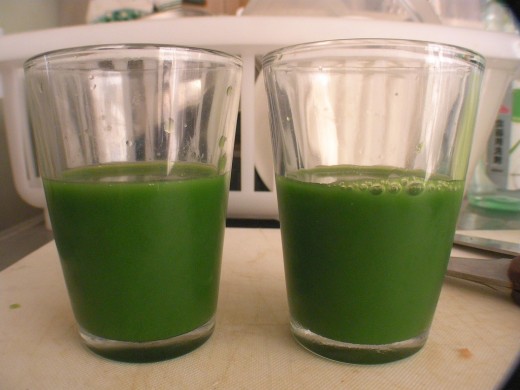 Glasses of Green Juice