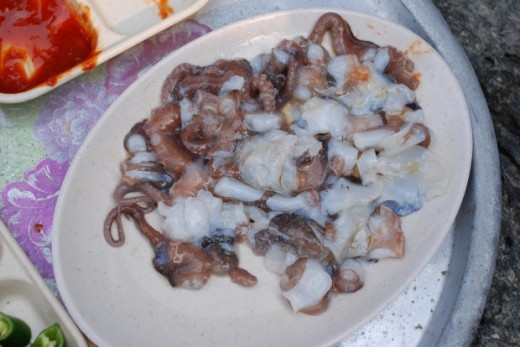 An Octopus Meal