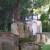 Above Ground Tombs And Grave Markers Inside The Huguenot Cemetery Above Ground Tombs And Grave Markers Inside The Huguenot Cemetery