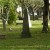 Very Old Tombstones Inside The Huguenot Cemetery In St Augustine Florida Very Old Tombstones Inside The Huguenot Cemetery In St Augustine Florida