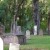 Graveyard Inside The Huguenot Cemetery St Augustine Florida Graveyard Inside The Huguenot Cemetery St Augustine Florida