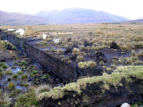 A bog is basically a very wet, spongy ground with soil composed mainly of decayed vegetable matter. There are peat bogs like the one pictured here in the photo. 