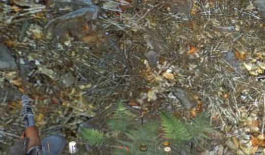 You can search in the forest to find wooden sticks. 