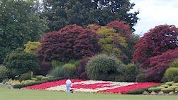 Canadian Garden