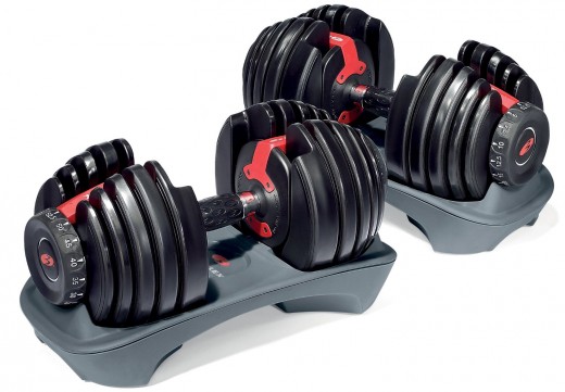Bowflex SelectTech 552 Adjustable Dumbbells (Pair) 
