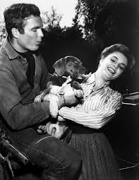 In 1962, Hardin makes points with a pretty girl by petting her puppy