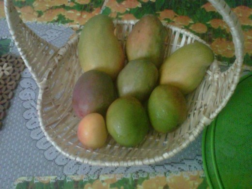 Mangoes can be quite fattening for fruits!