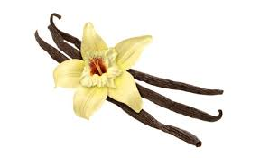 Something as simple as just seeing a vanilla flower and beans can make one's mouth water with the thought of the sweet creamy flavor and aroma