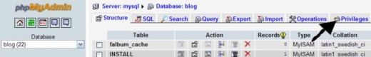 Find the privileges tab