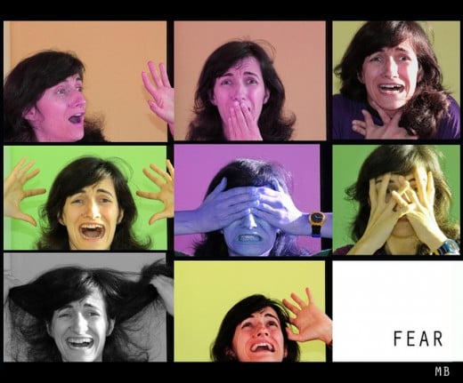 The many faces of fear