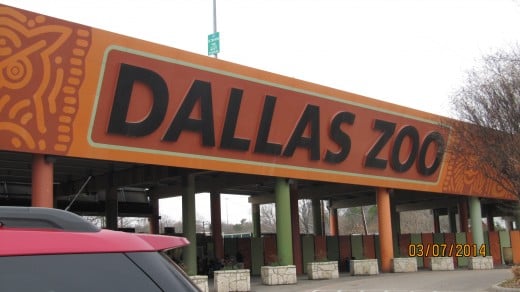 Entrance To The Zoo