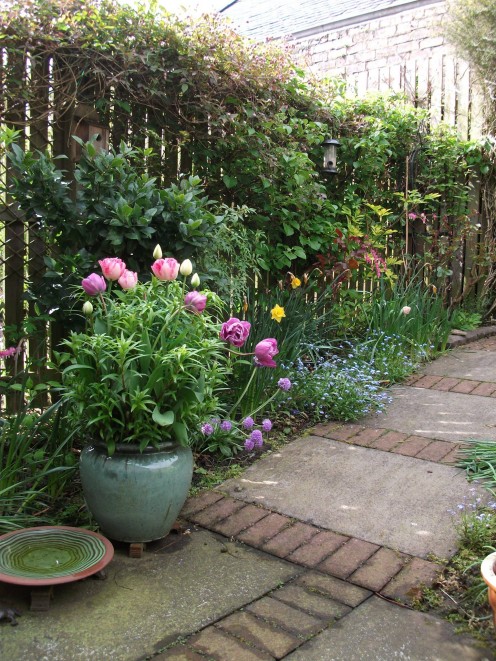 My beautiful garden.