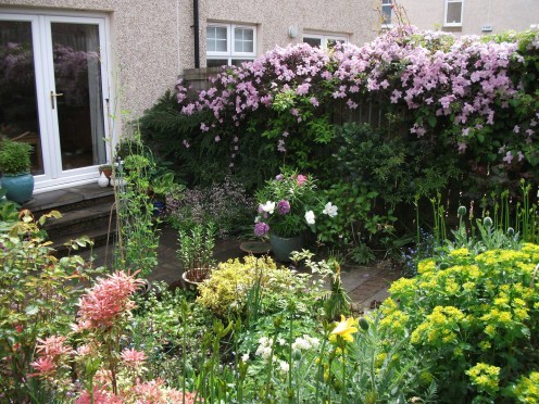 Garden in the summer
