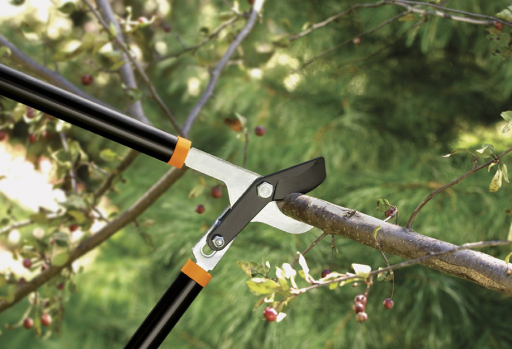 Best Loppers - Large Hand Pruners For Your Garden and Orchard | hubpages