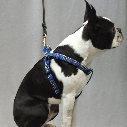 Plaid Step-in Harness