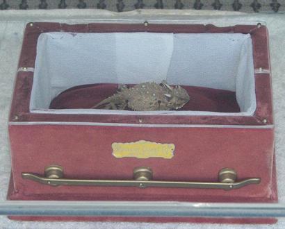 Old Rip in his casket in Eastland, Texas