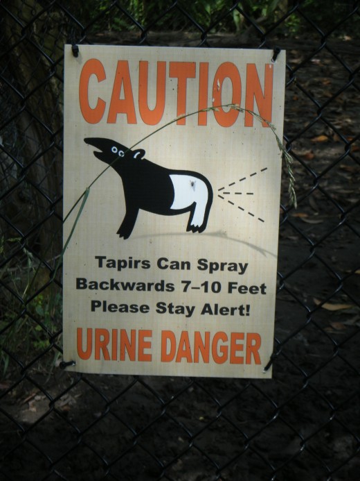 This sign makes me laugh every time I see it. But, it is true, Tapirs can spray their urine, and it smells. 