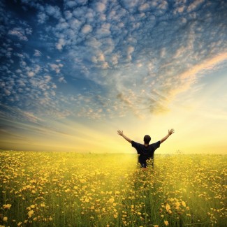 Removing all negativity in life will bring you more happiness in life