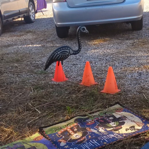 My flamingo's welcome people to our campsite