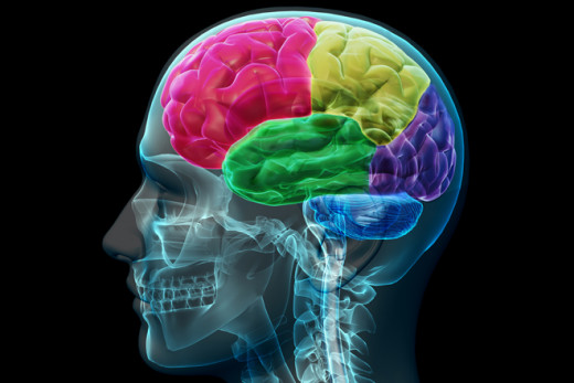 How does deja vu befuddle the brain?
