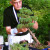 Bonsai gardening: Ajustment of a Bonsai Bonsai gardening: Ajustment of a Bonsai