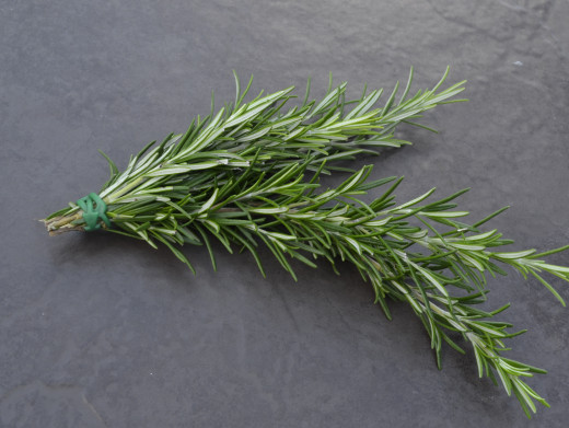 The Romans mixed rosemary with vinegar to make a sauce, in much the same way we make mint sauce today.