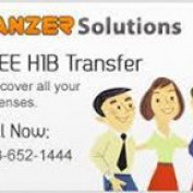 Panzer-Solutions profile image